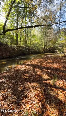 $225,000 | 4026 Cowart Price Road, Tylertown, MS 39667