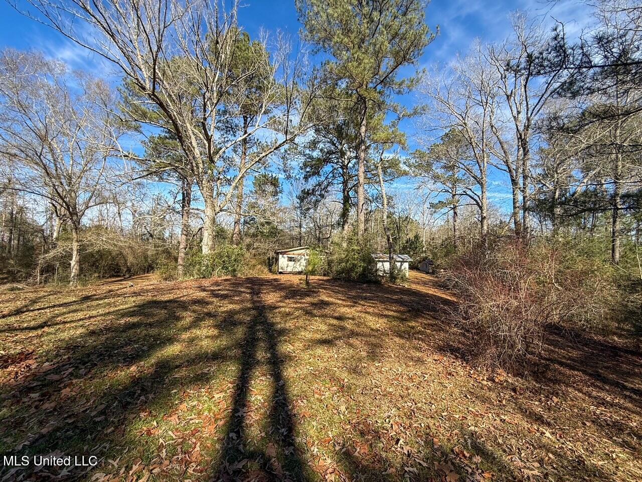 4026 Cowart Price Road Tylertown, MS 39667 - Photo 4 of 21 IMG_6693