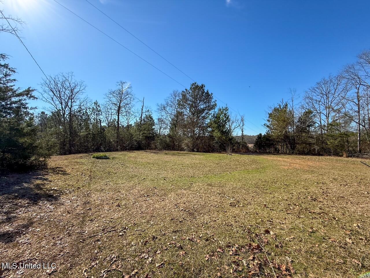 4026 Cowart Price Road Tylertown, MS 39667 - Photo 5 of 21 IMG_6694