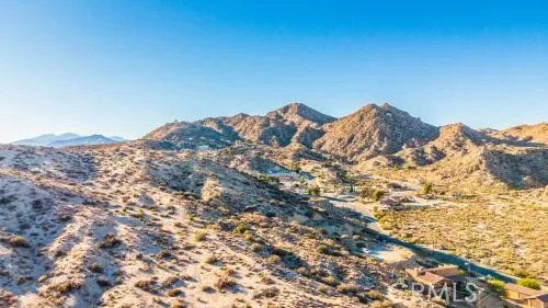 a view of a large tree with a mountain in the background