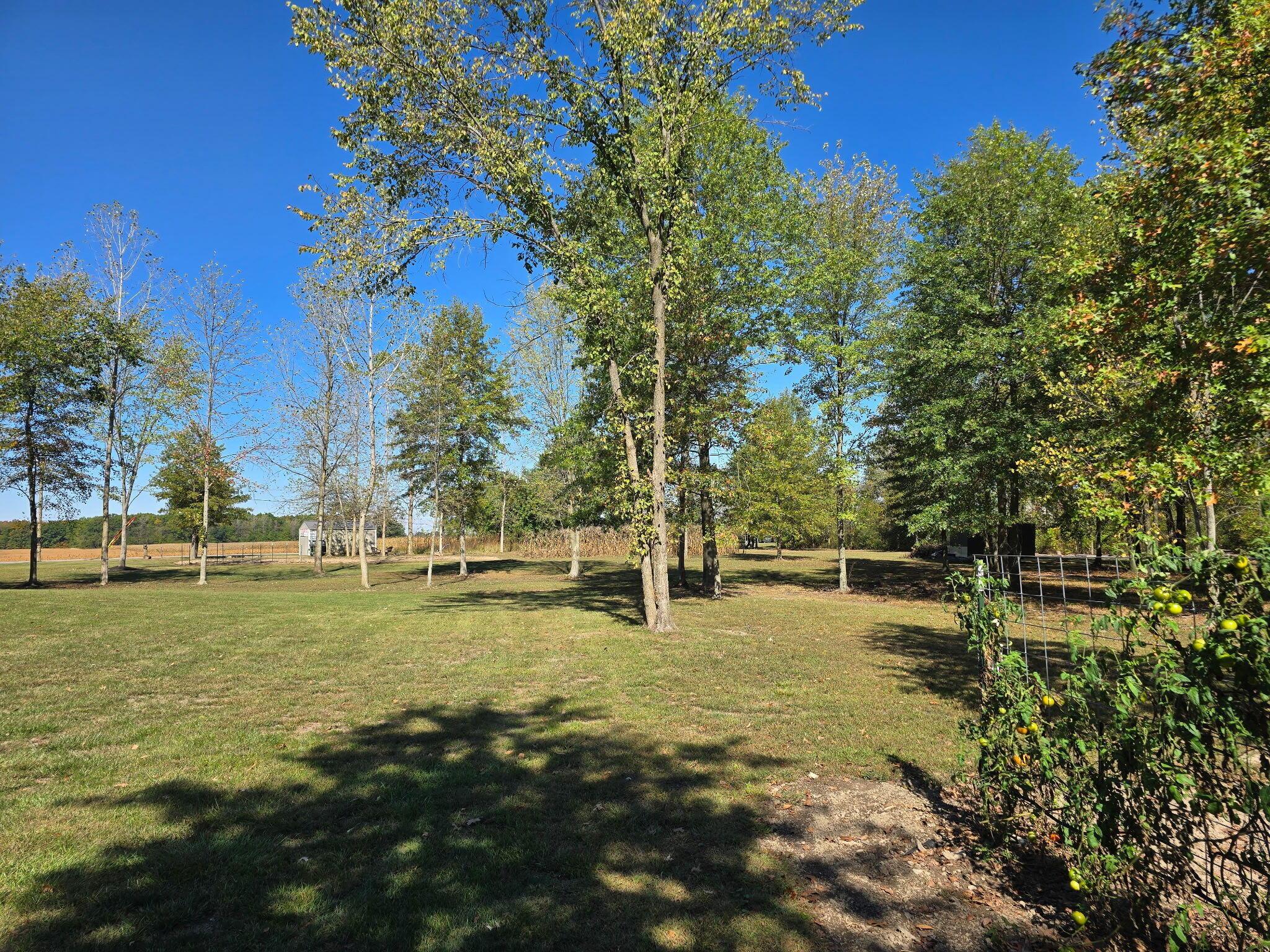 24805 Rapp-Dean Road Raymond, OH 43067 - Photo 68 of 74 Yard