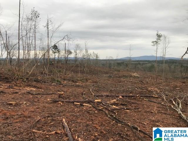 Griffitt Bend Road, Unit 93 Talladega, AL 35160 - Photo 3 of 7