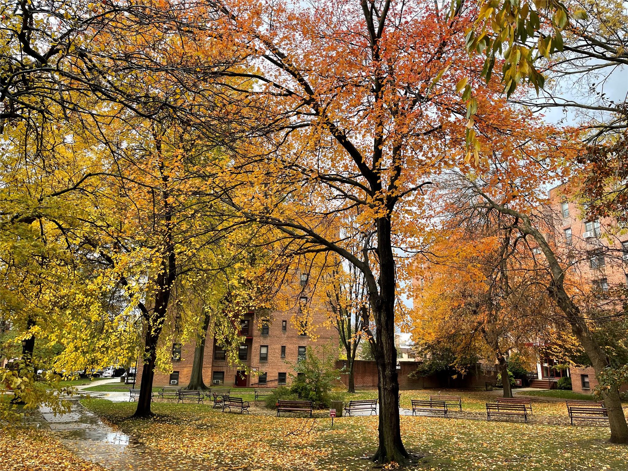 a view of street with trees
