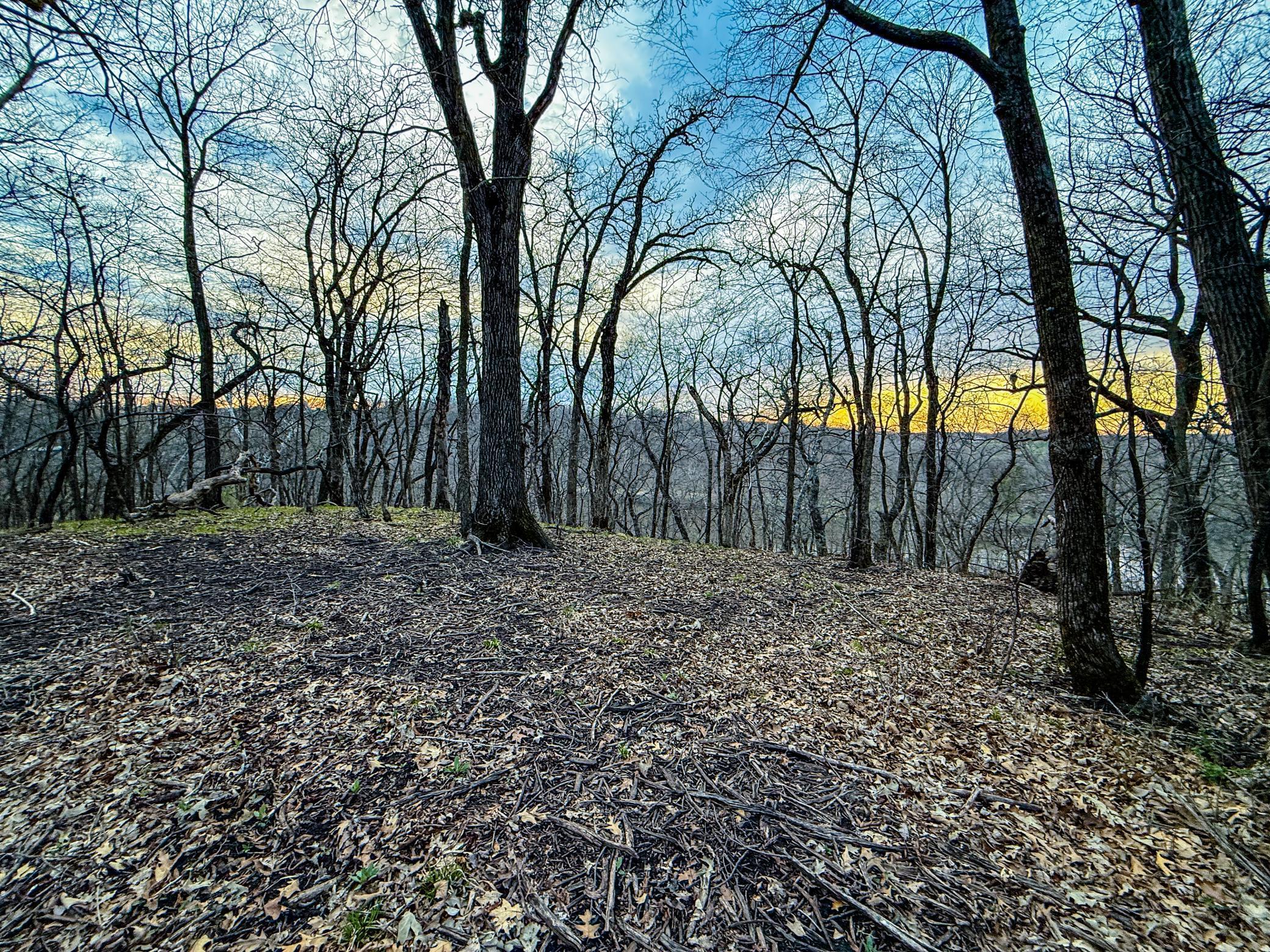 3 White Bridge Road Northeast Rochester, MN 55906 - Photo 11 of 15