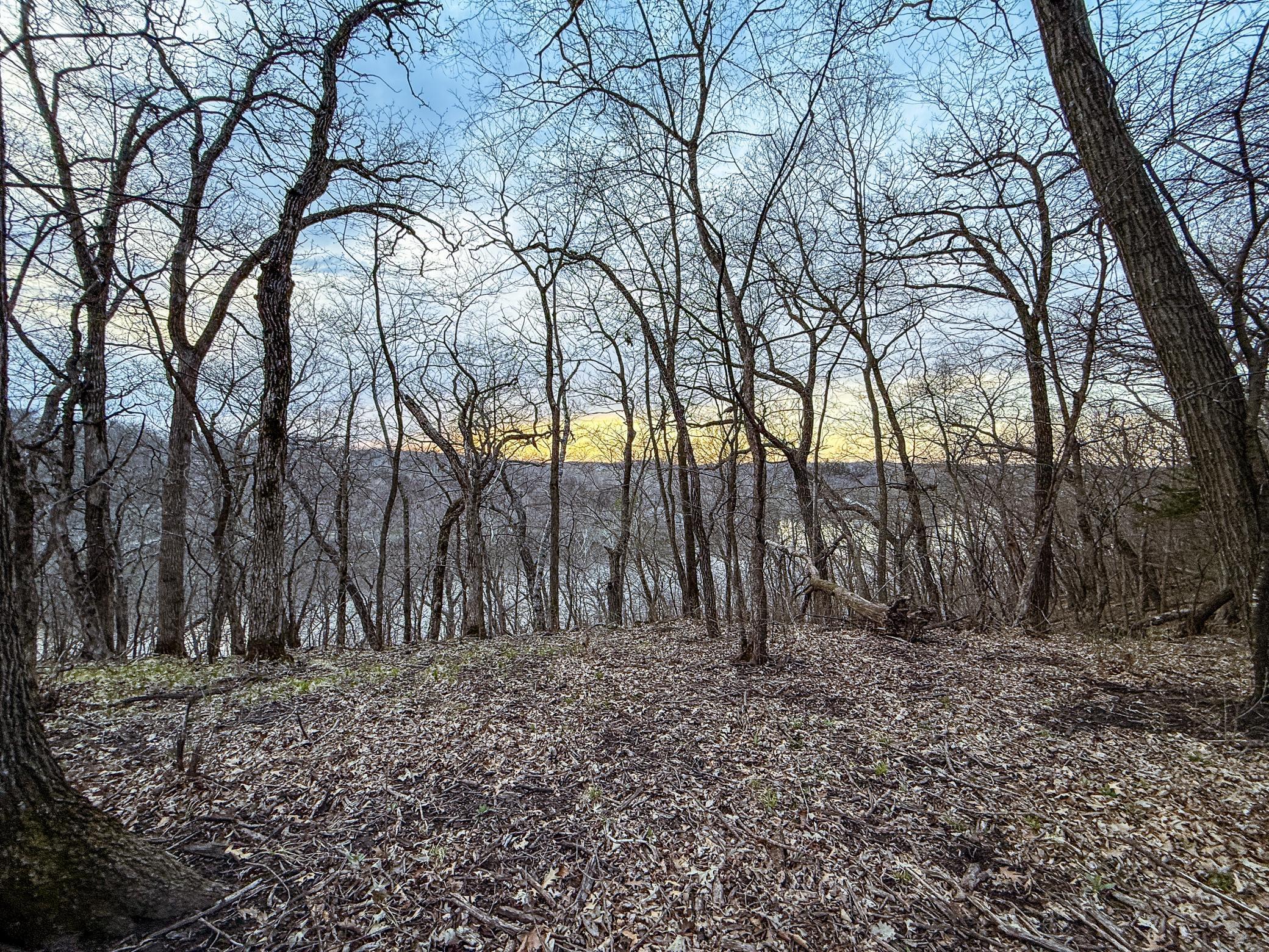 3 White Bridge Road Northeast Rochester, MN 55906 - Photo 12 of 15