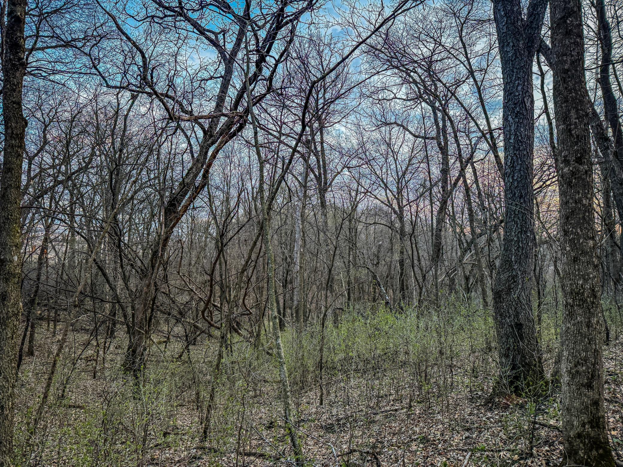 3 White Bridge Road Northeast Rochester, MN 55906 - Photo 13 of 15