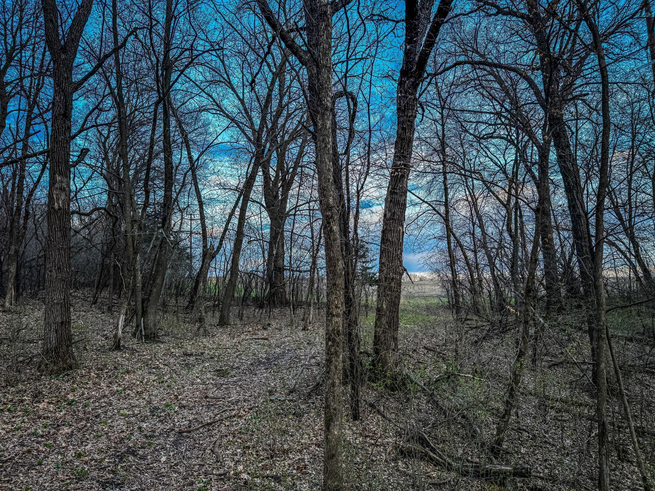 3 White Bridge Road Northeast Rochester, MN 55906 - Photo 14 of 15