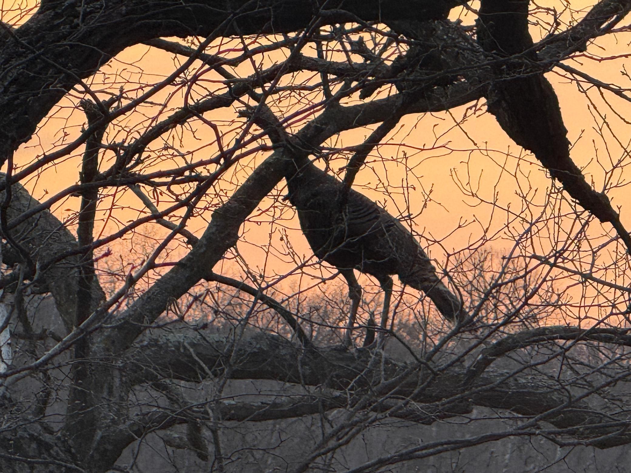 3 White Bridge Road Northeast Rochester, MN 55906 - Photo 15 of 15