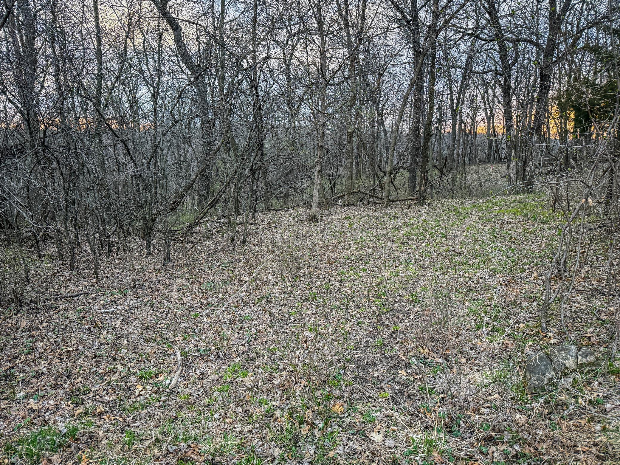 3 White Bridge Road Northeast Rochester, MN 55906 - Photo 10 of 15