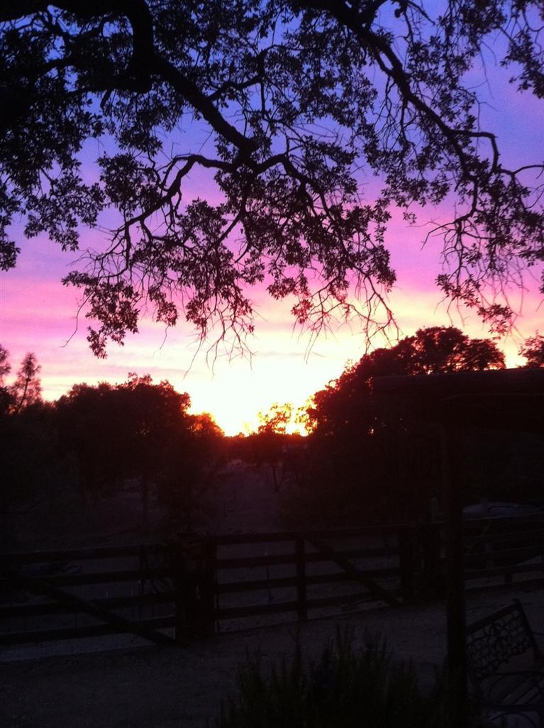 40714 Rancho Ramon Court Coarsegold, CA 93614 - Photo 7 of 31 Just another gorgeous sunset from your porch!