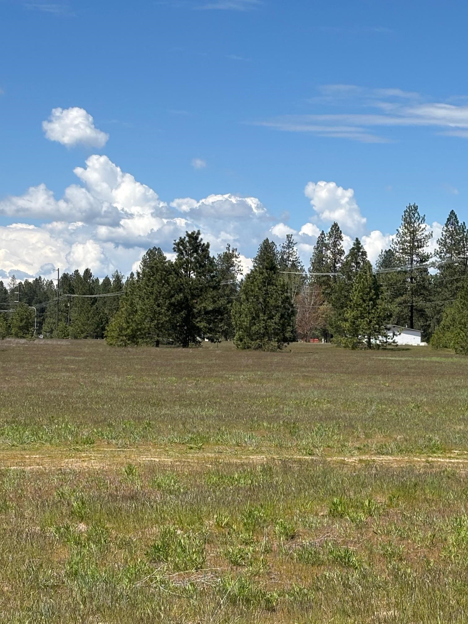 0 North Yale Road Colbert, WA 99005 - Photo 13 of 29