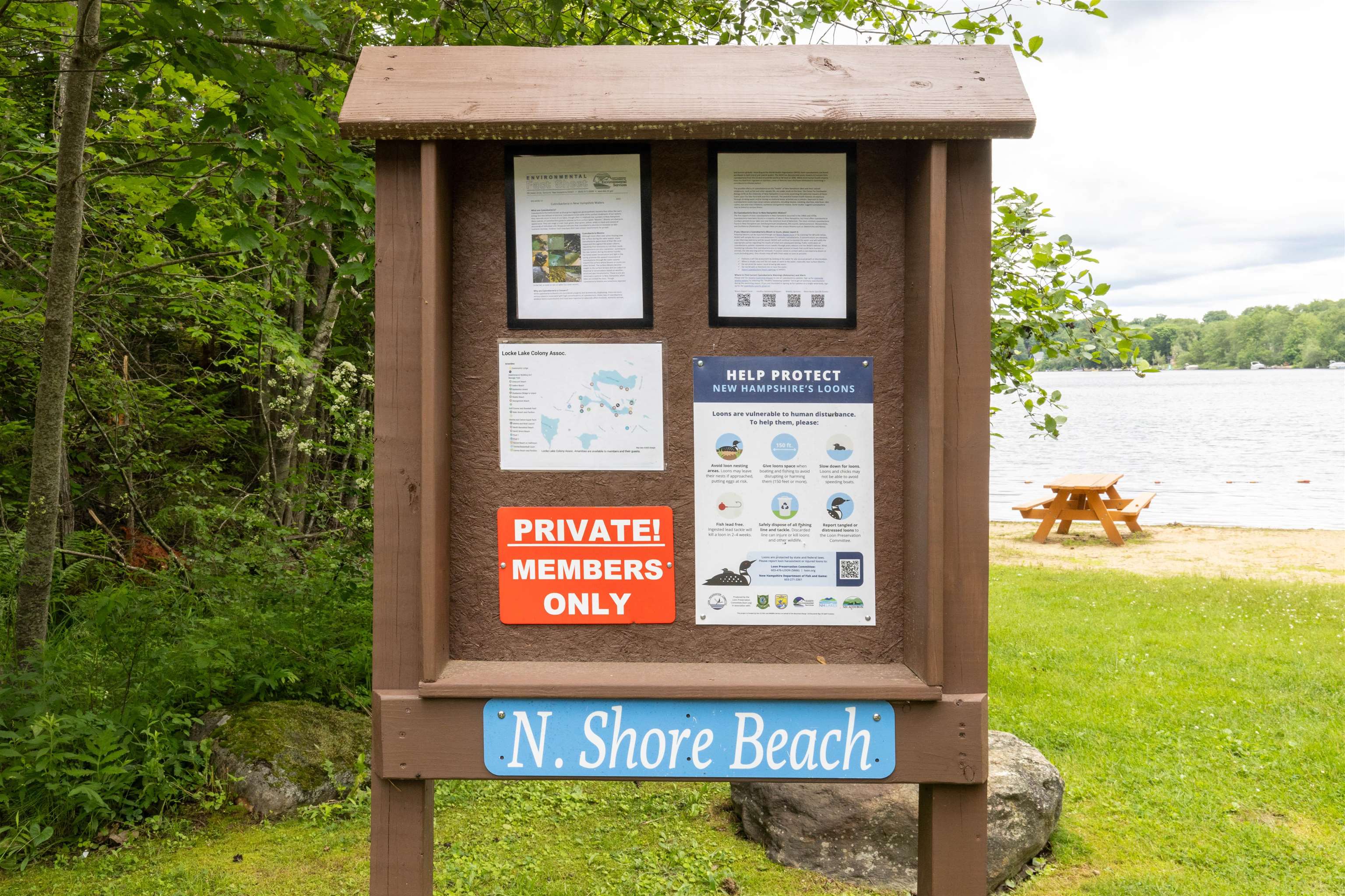 269 Varney Road Barnstead, NH 03225 - Photo 18 of 29