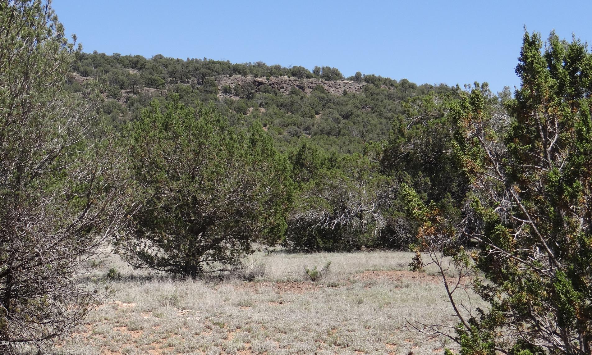 2 Shadow Rock Ranch Seligman, AZ 86337 - Photo 11 of 14 Cliff is On This Lot