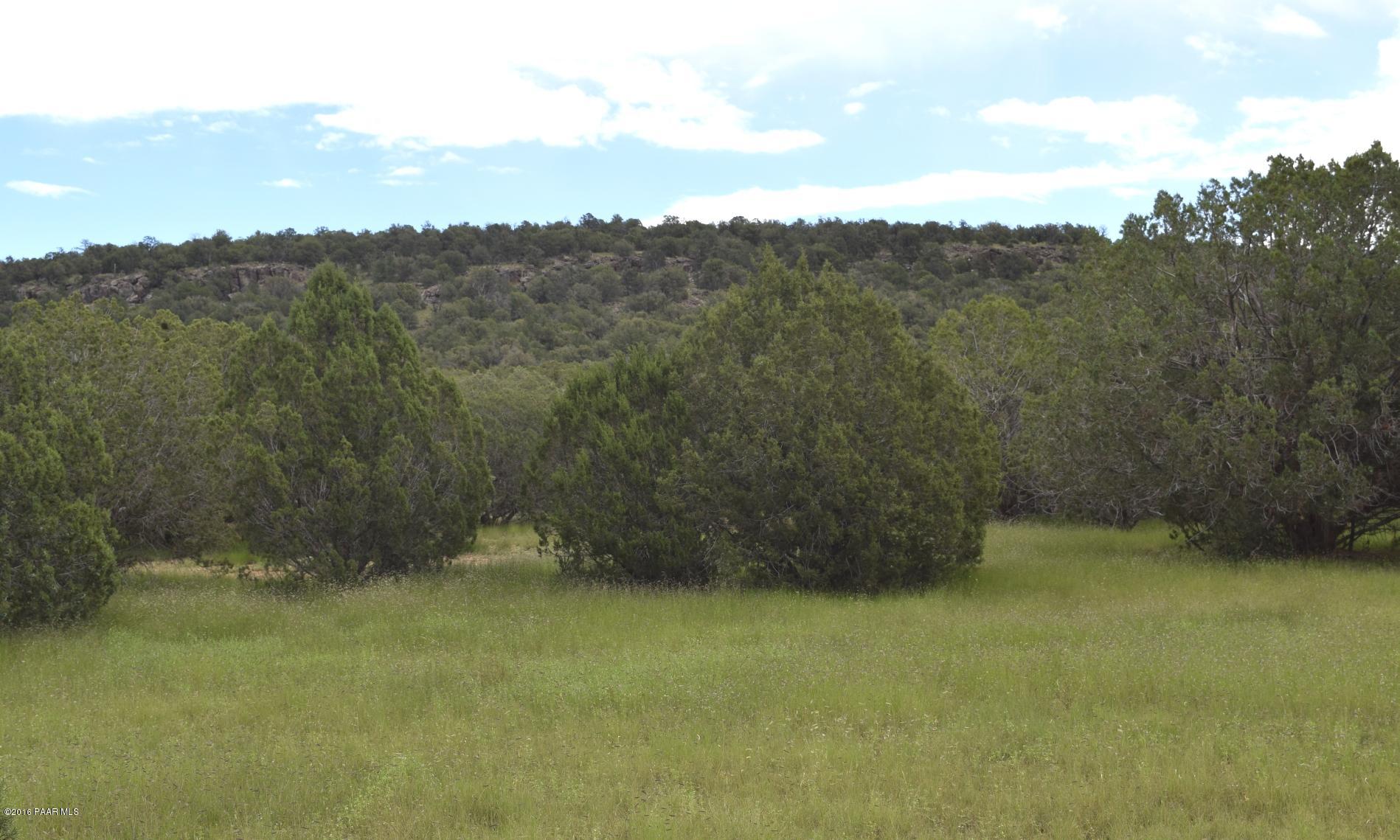 2 Shadow Rock Ranch Seligman, AZ 86337 - Photo 2 of 14 Open Meadow