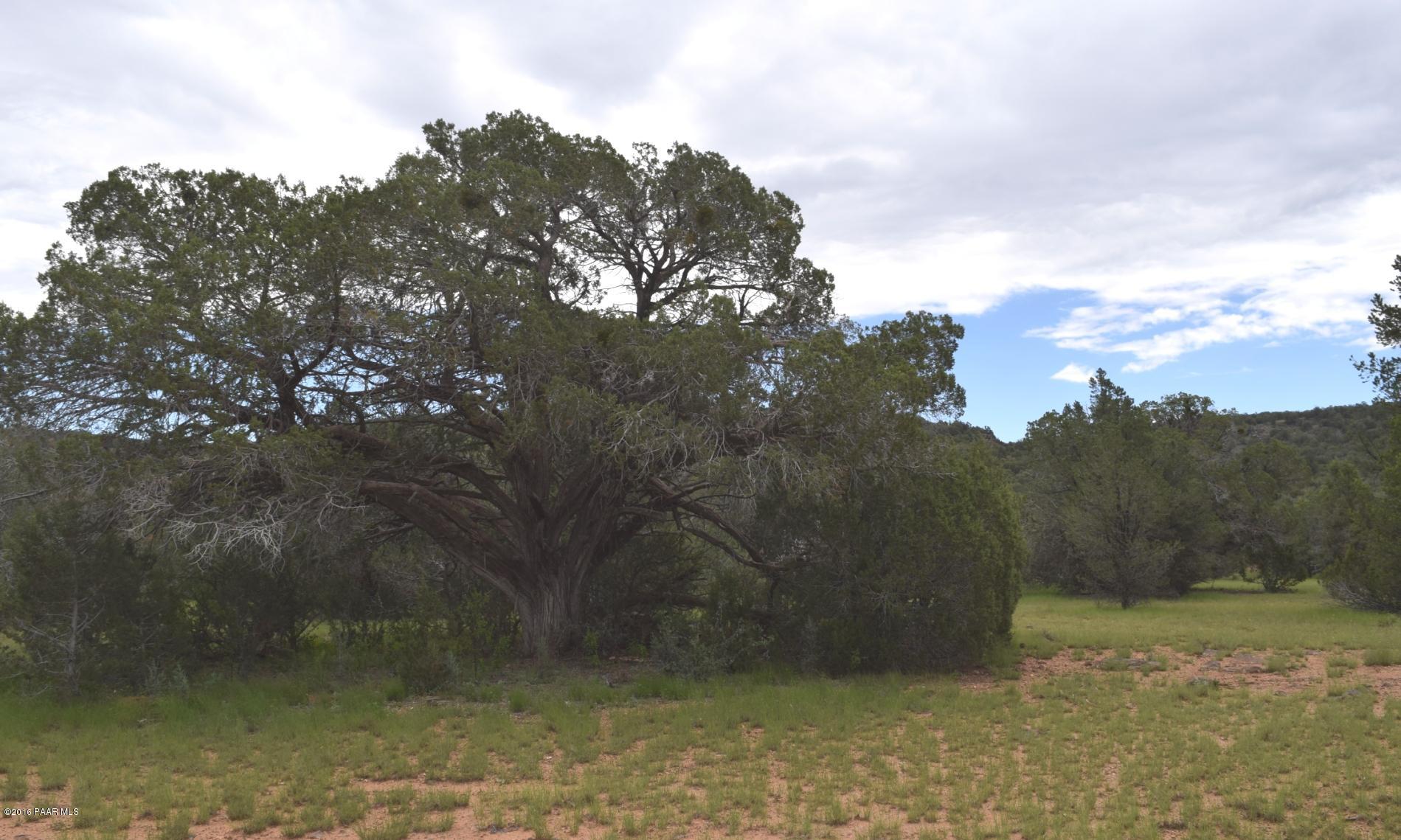 2 Shadow Rock Ranch Seligman, AZ 86337 - Photo 3 of 14 BIG Juniper