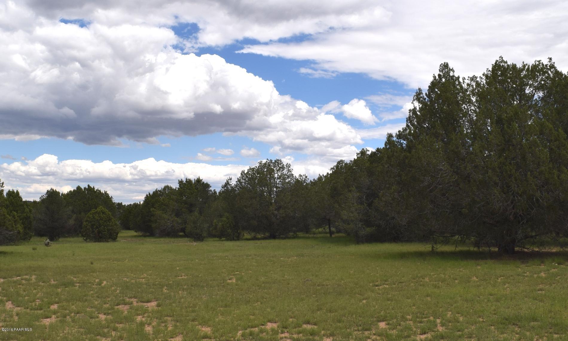 2 Shadow Rock Ranch Seligman, AZ 86337 - Photo 6 of 14 More Meadow