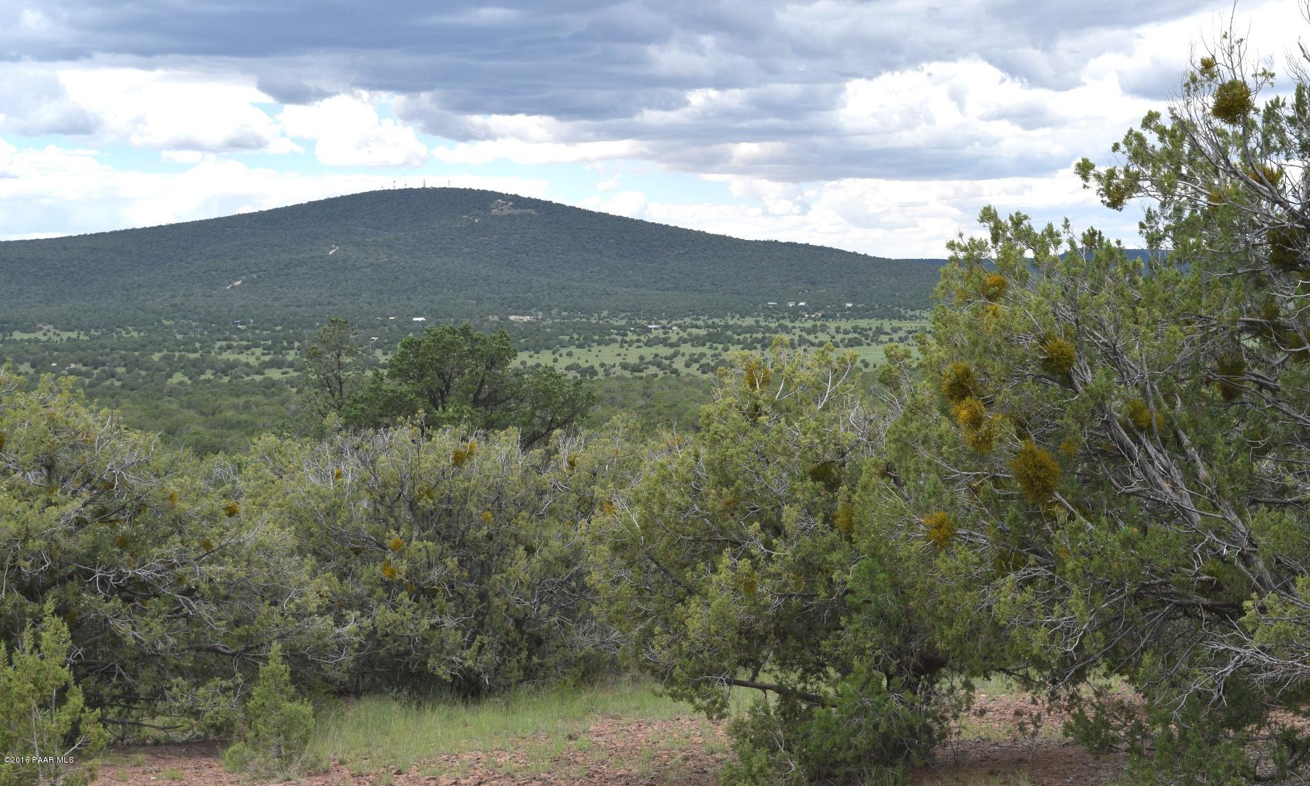 2 Shadow Rock Ranch Seligman, AZ 86337 - Photo 7 of 14 Tower Mountain