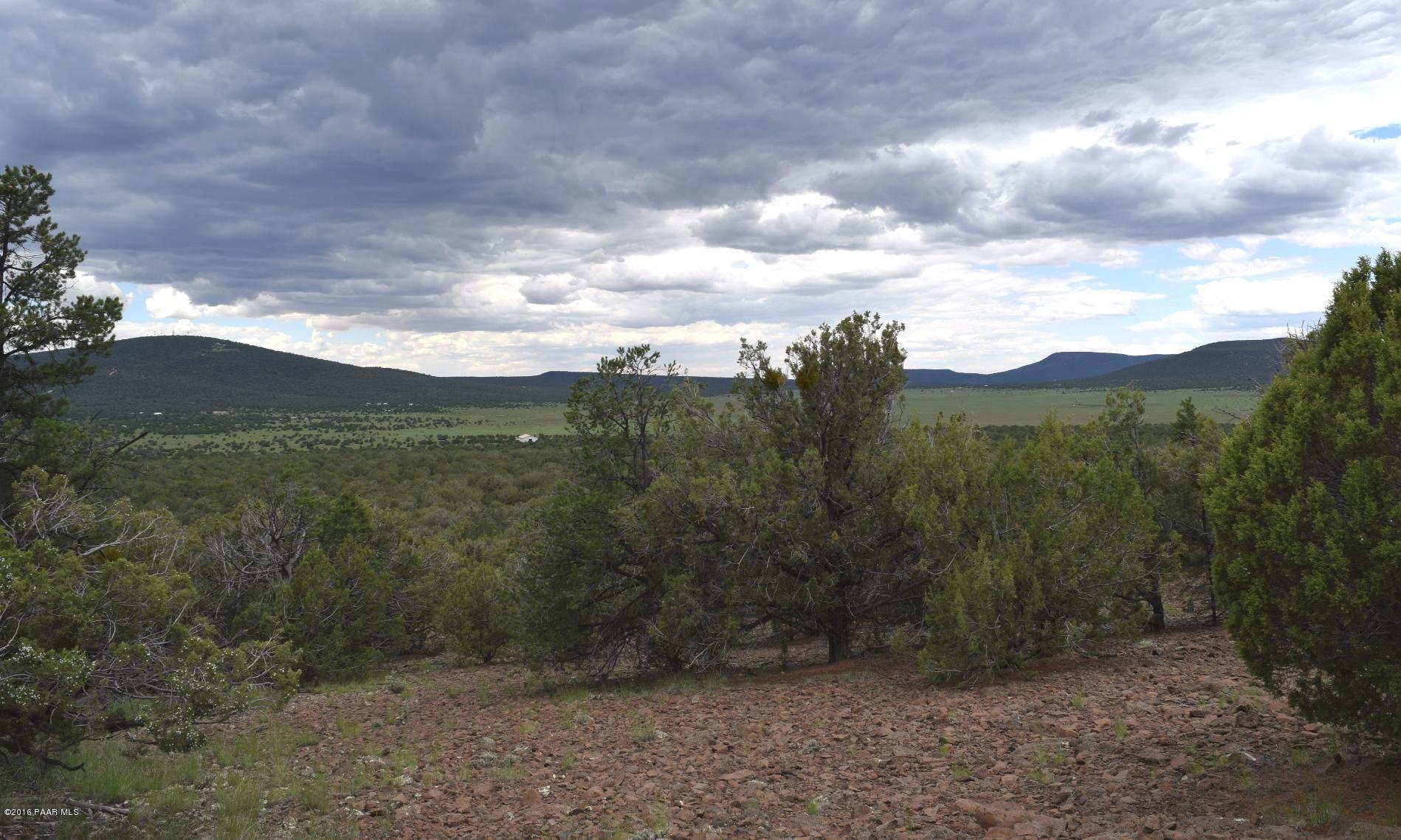 2 Shadow Rock Ranch Seligman, AZ 86337 - Photo 8 of 14 Red Lake