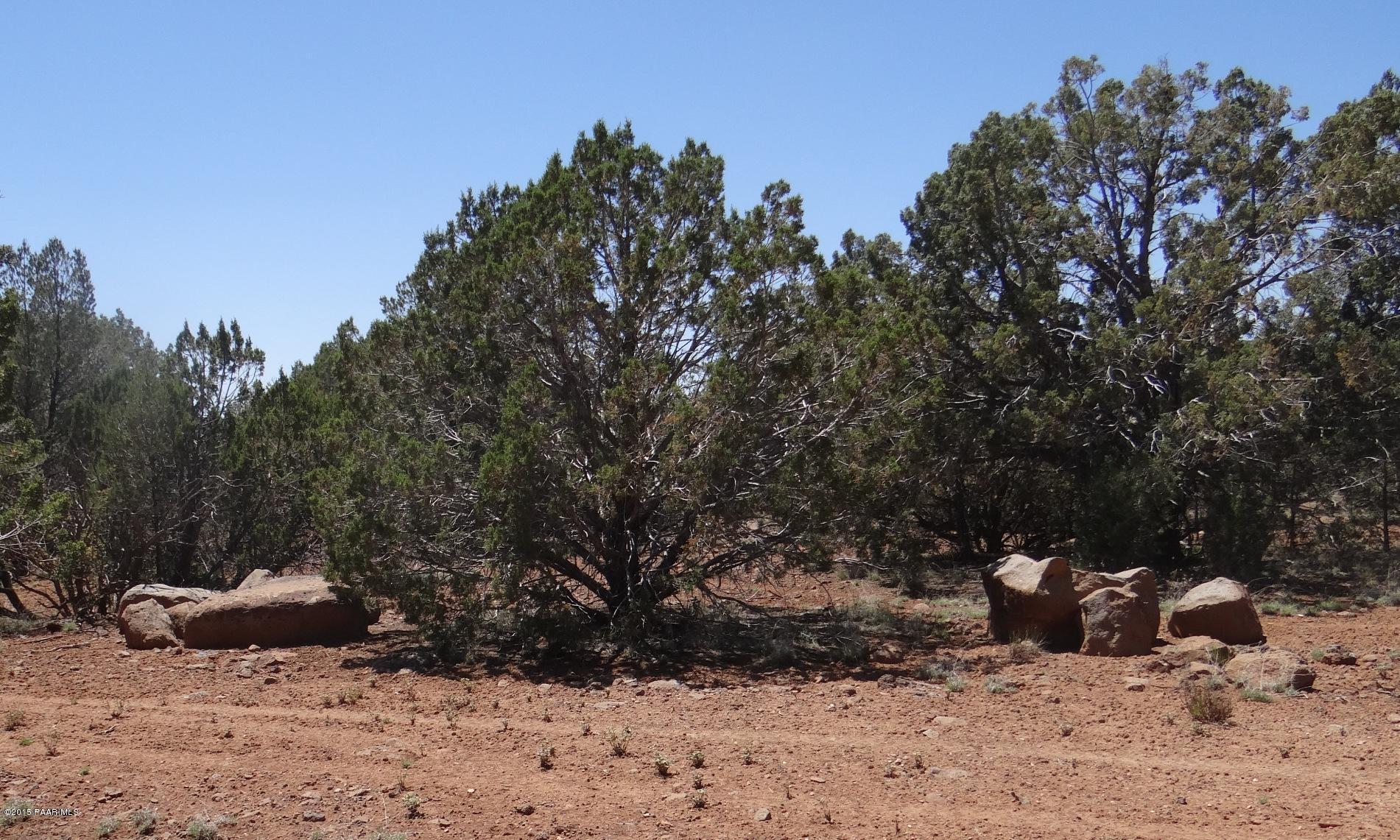 2 Shadow Rock Ranch Seligman, AZ 86337 - Photo 10 of 14 A Few Boulders