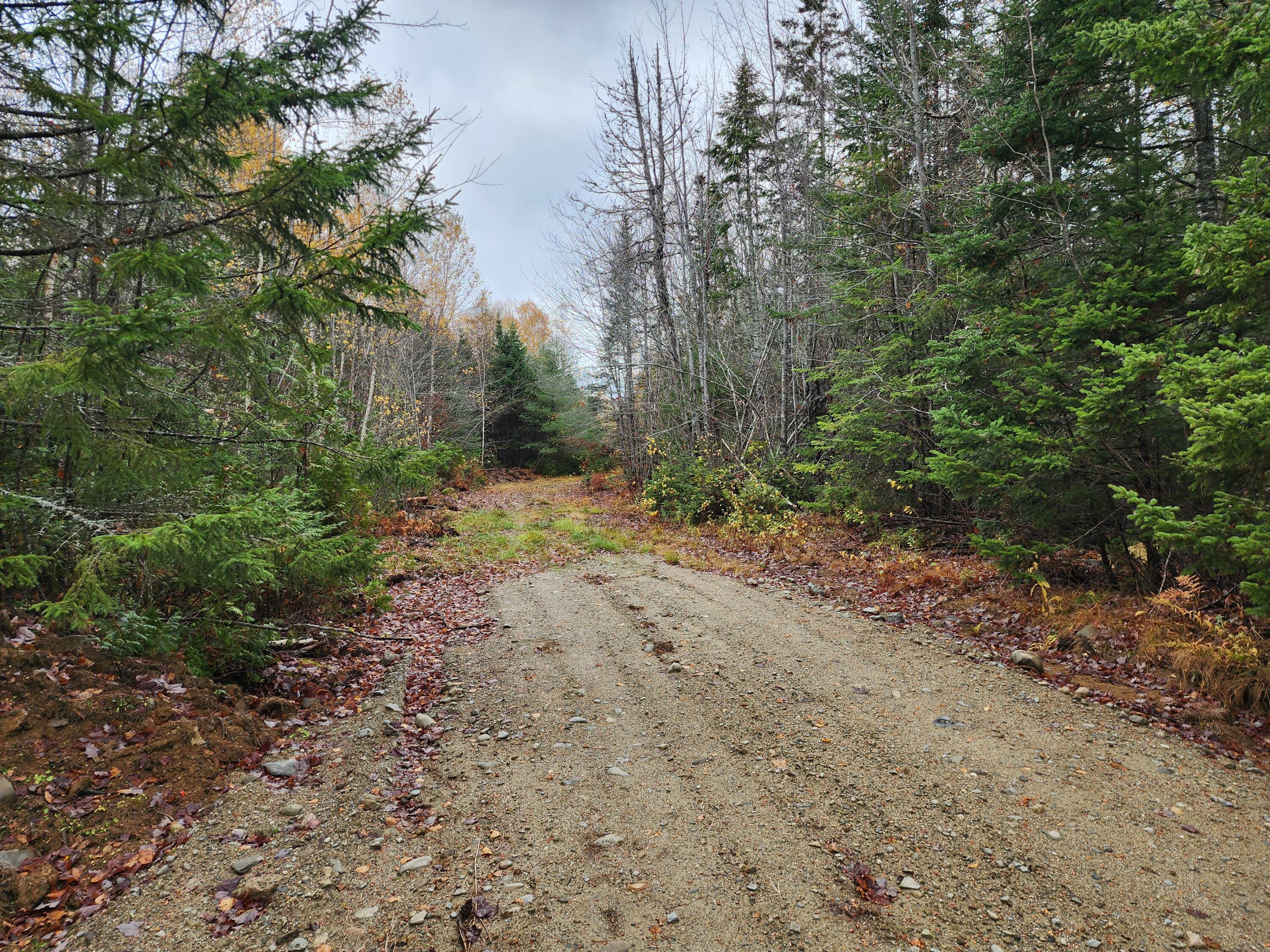 4601 B Airline Road Baileyville, ME 04694 - Photo 8 of 13 20251021_134138