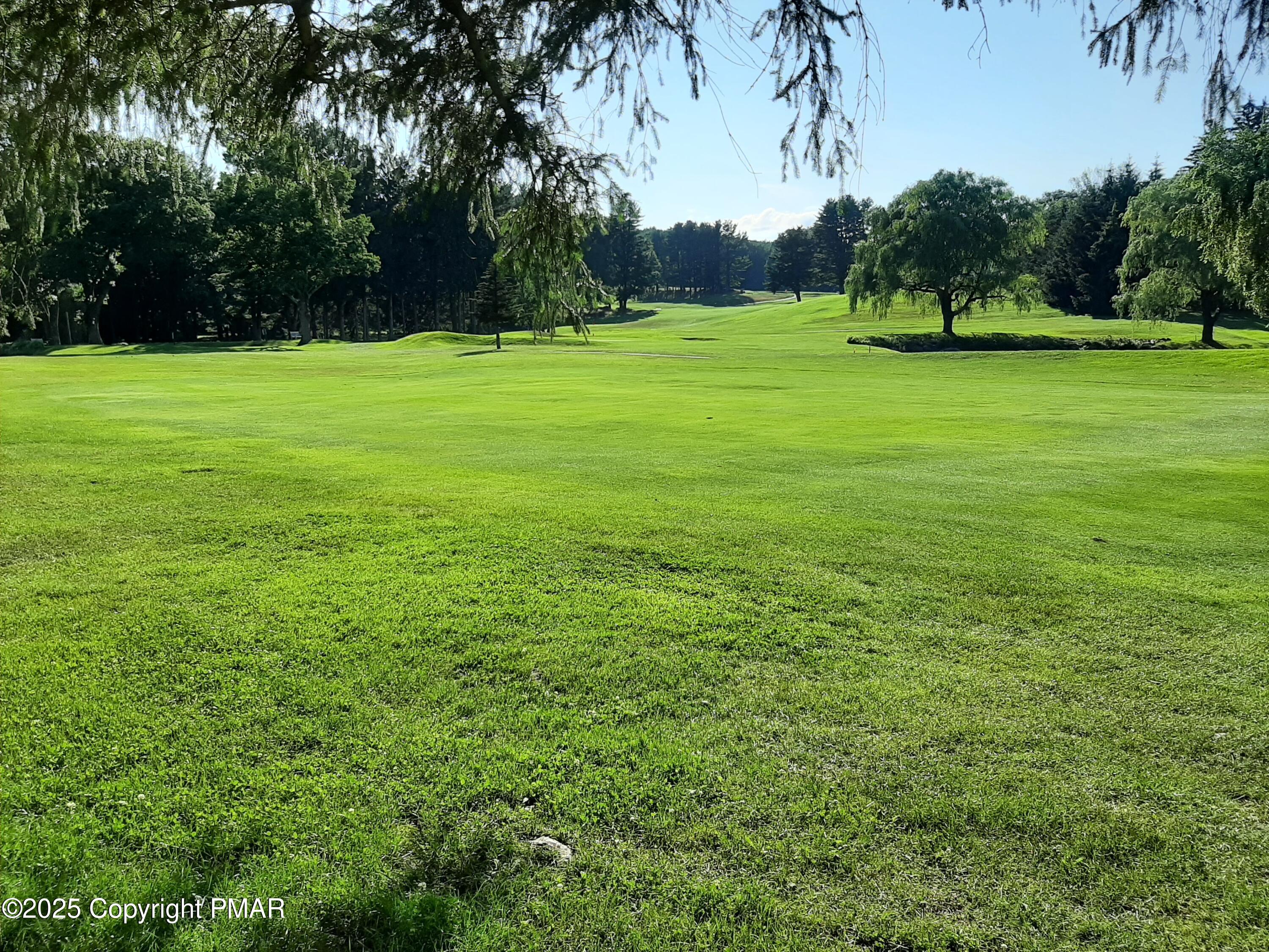 121 Hardytown Road Cresco, PA 18326 - Photo 26 of 35 a view of a grassy field with trees
