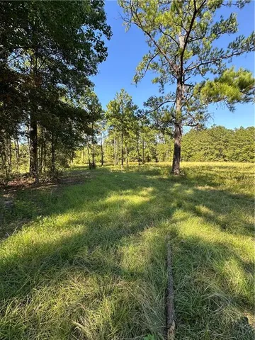 $199,000 | 0 Blood River Road, Springfield, LA 70462