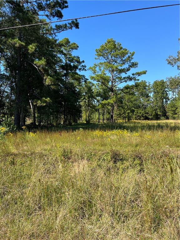 0 Blood River Road Springfield, LA 70462 - Photo 15 of 34