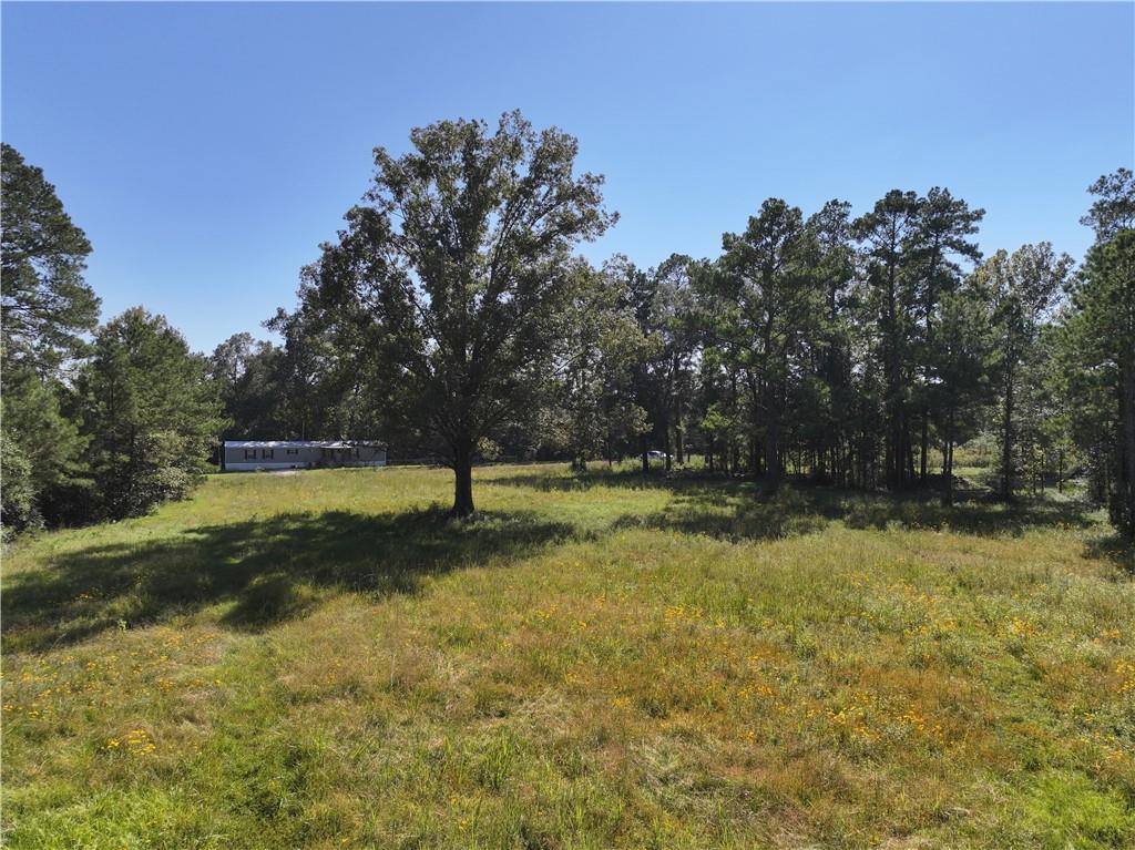 0 Blood River Road Springfield, LA 70462 - Photo 17 of 34