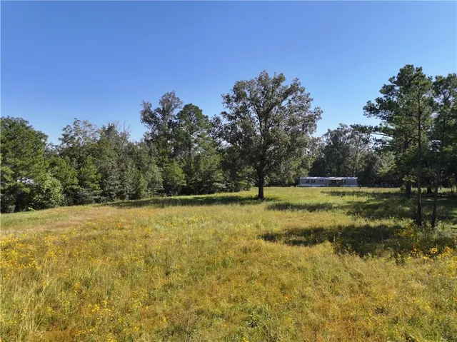 $199,000 | 0 Blood River Road, Springfield, LA 70462