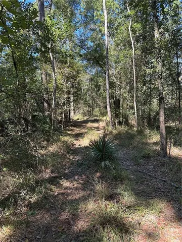 $199,000 | 0 Blood River Road, Springfield, LA 70462