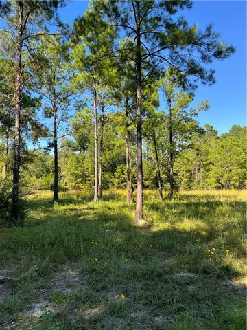 $199,000 | 0 Blood River Road, Springfield, LA 70462