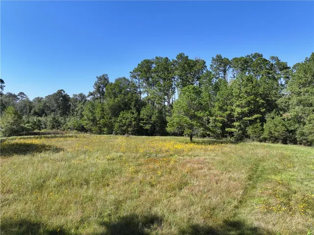 $199,000 | 0 Blood River Road, Springfield, LA 70462