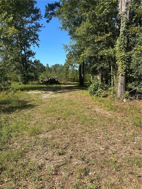 0 Blood River Road Springfield, LA 70462 - Photo 26 of 34