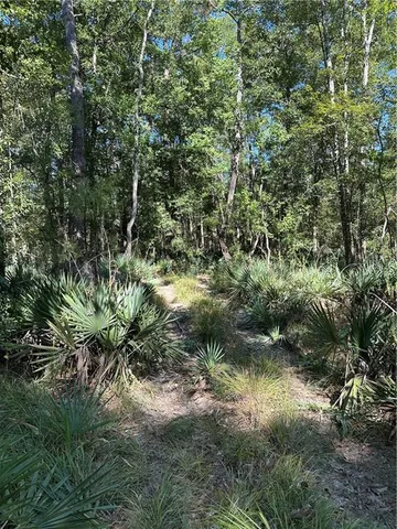$199,000 | 0 Blood River Road, Springfield, LA 70462