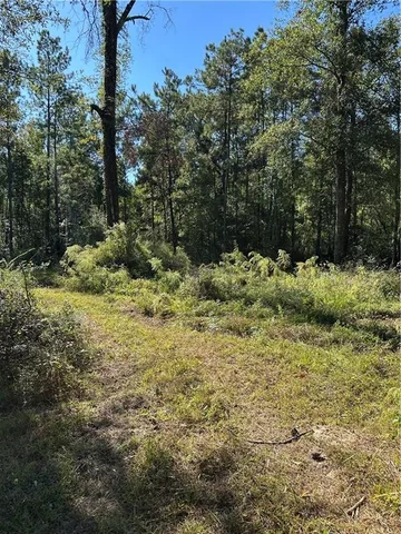 $199,000 | 0 Blood River Road, Springfield, LA 70462