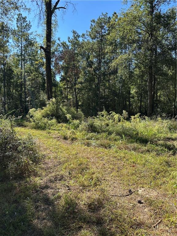 0 Blood River Road Springfield, LA 70462 - Photo 29 of 34