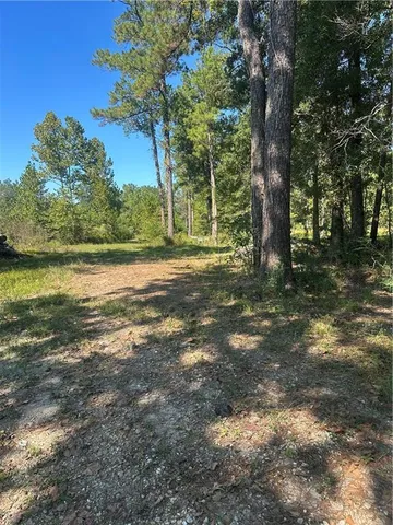 $199,000 | 0 Blood River Road, Springfield, LA 70462