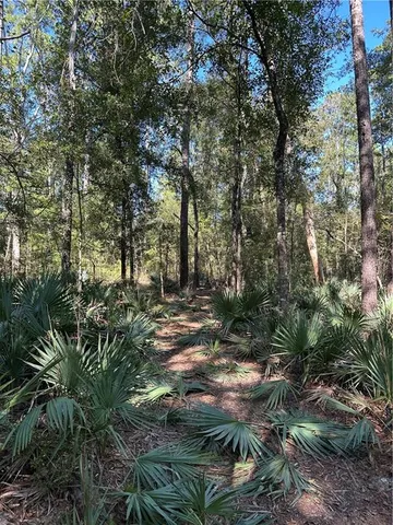 $199,000 | 0 Blood River Road, Springfield, LA 70462