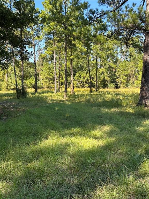 0 Blood River Road Springfield, LA 70462 - Photo 4 of 34