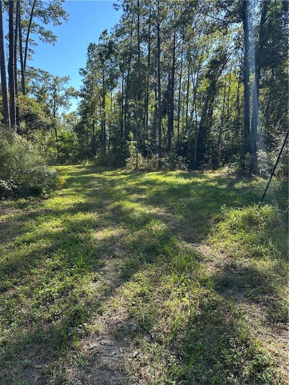 0 Blood River Road Springfield, LA 70462 - Photo 6 of 34