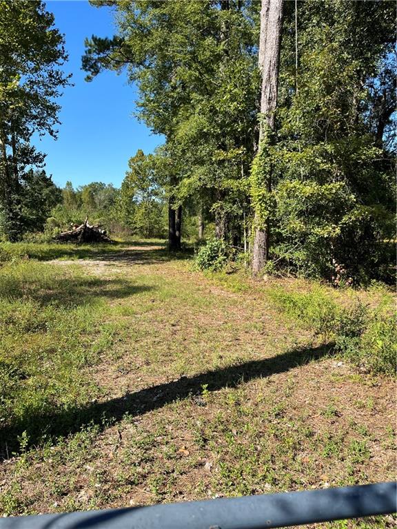 0 Blood River Road Springfield, LA 70462 - Photo 7 of 34