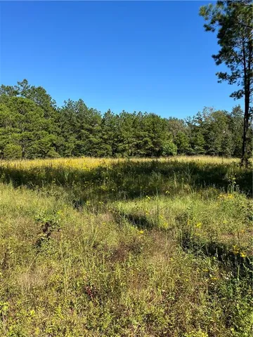 $199,000 | 0 Blood River Road, Springfield, LA 70462