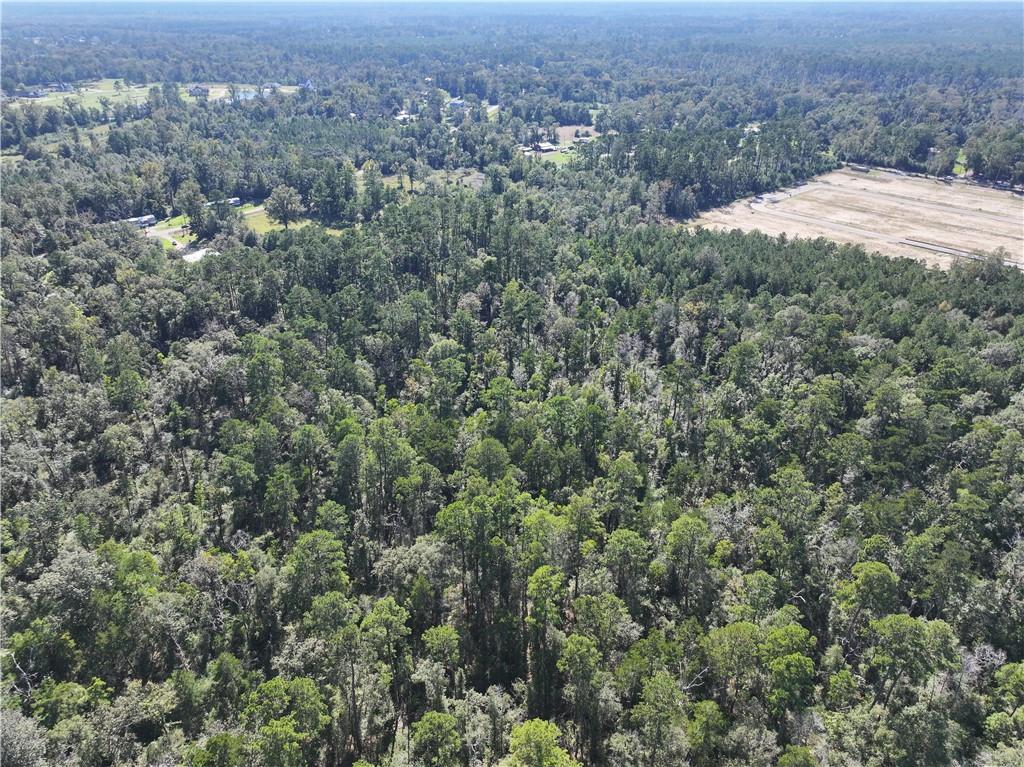 0 Blood River Road Springfield, LA 70462 - Photo 10 of 34