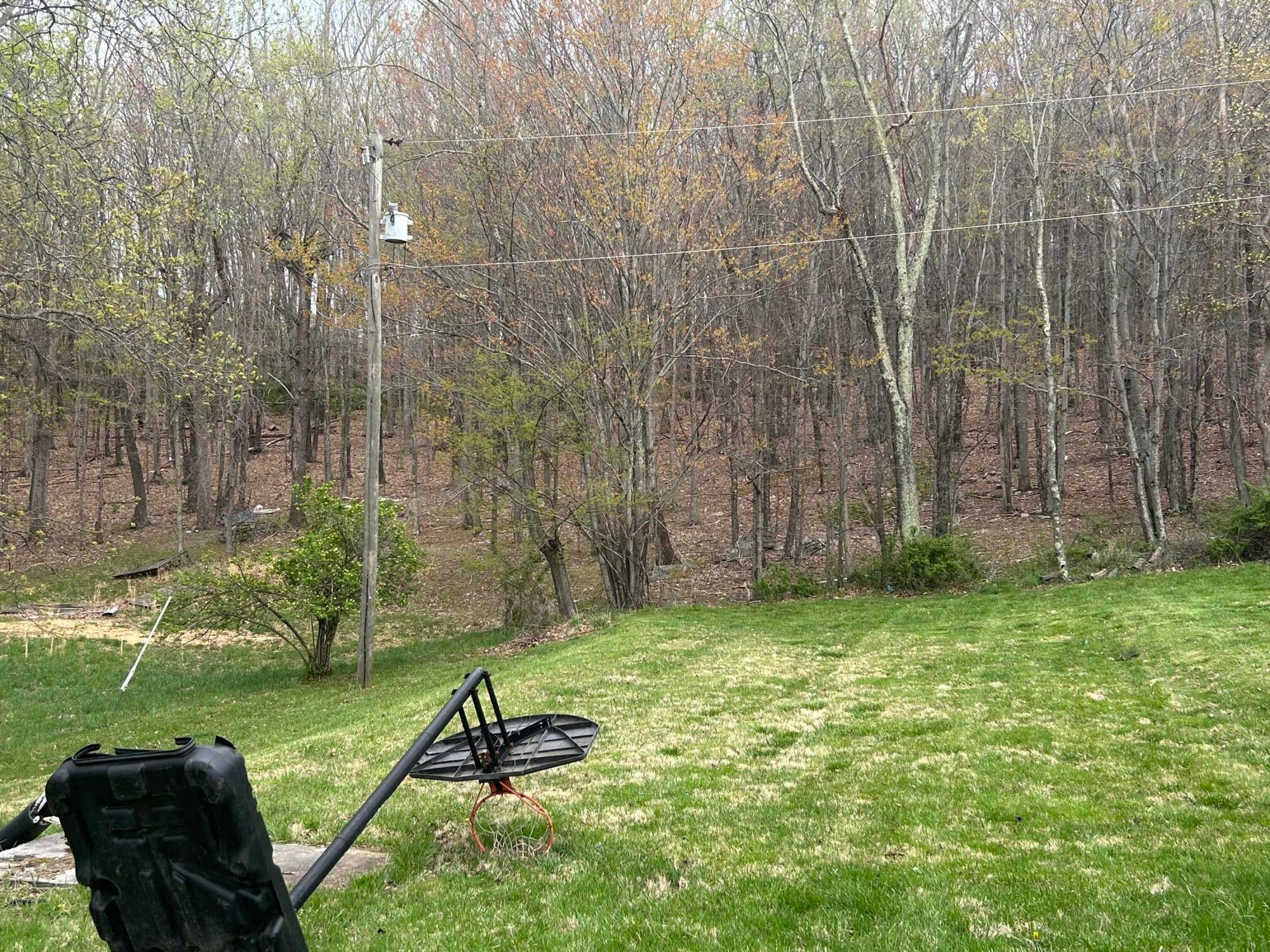 3358 Zenith Road Gap Mills, WV 24941 - Photo 58 of 72 Gallery Image 58