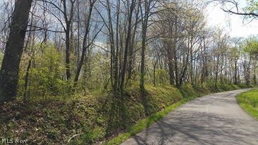 Thompson Ridge Road Athens, OH 45701 - Photo 6 of 10
