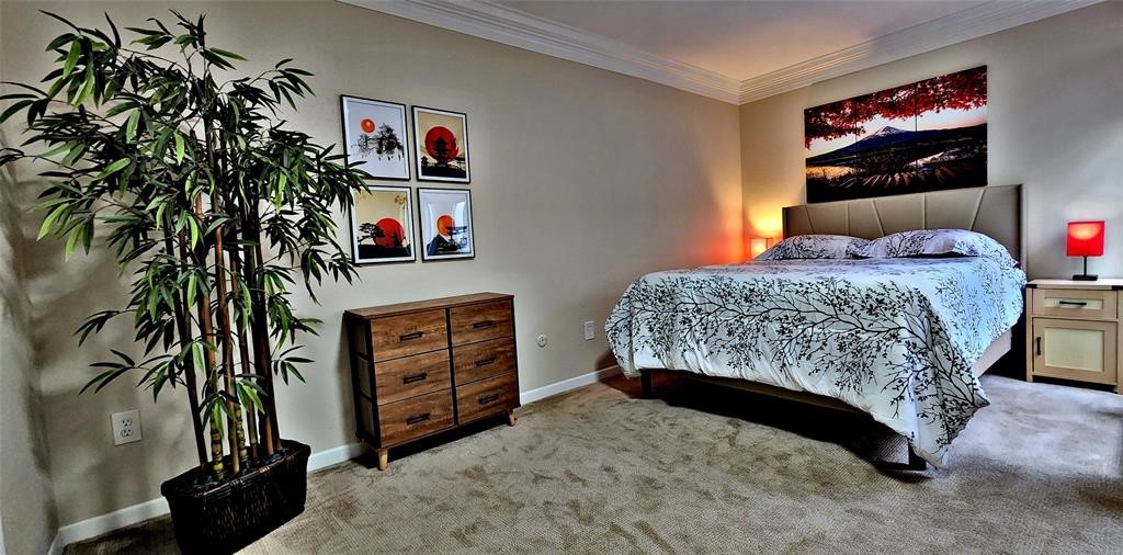 6726 Buffalo Speedway Houston, TX 77005 - Photo 27 of 30