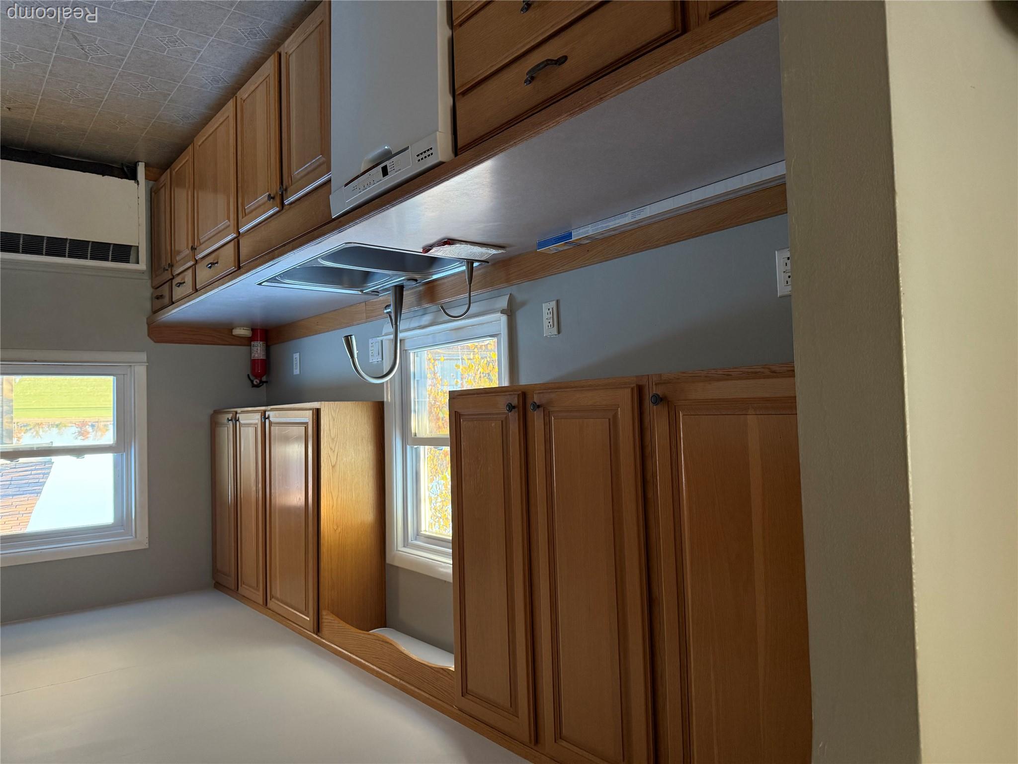 2450 West Snover Road Sandusky, MI 48471 - Photo 4 of 30 Kitchen with white dishwasher, radiator heating unit, light countertops, and wood finish cabinetry
