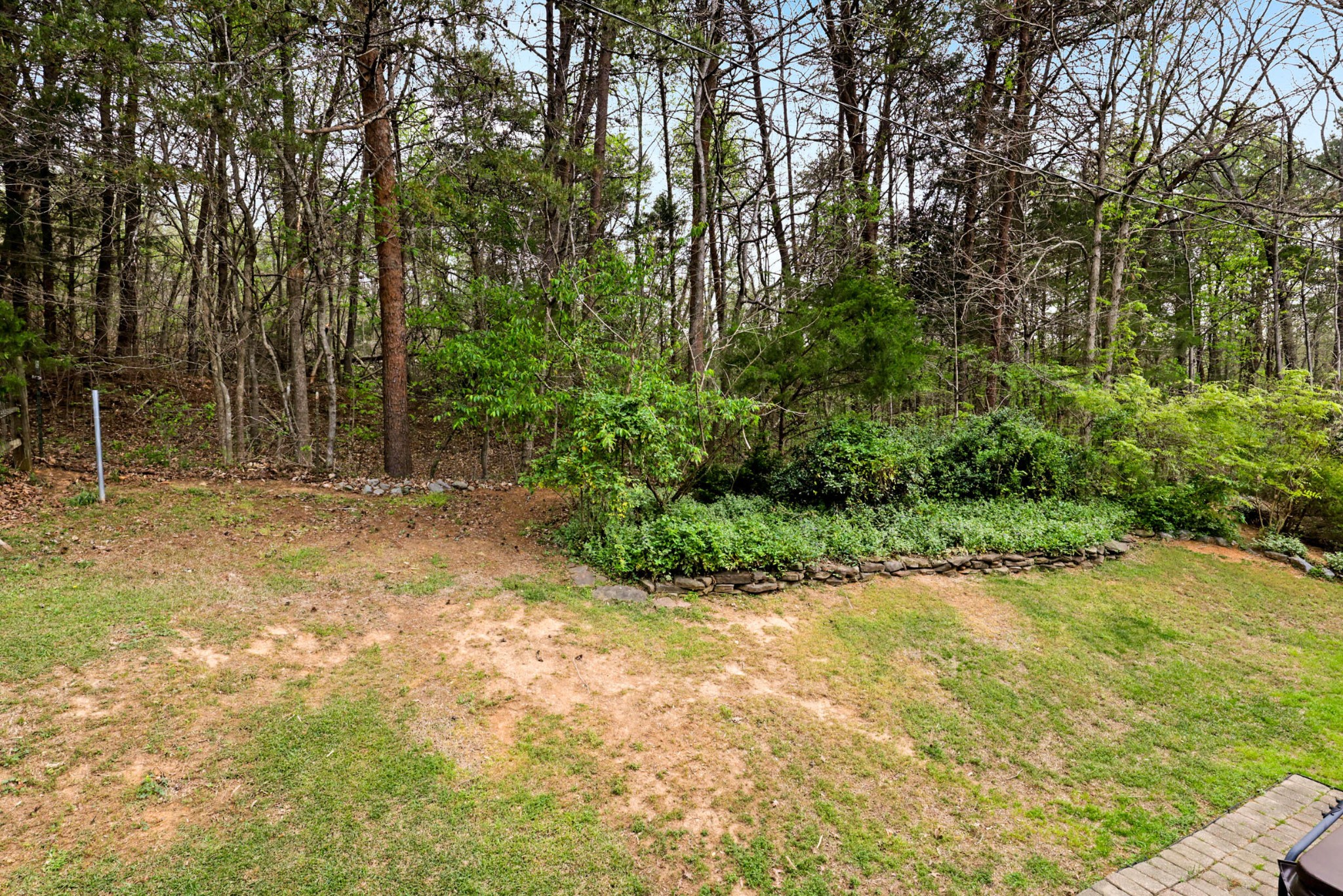 905 County Road 655 Athens, TN 37303 - Photo 33 of 47 a view of backyard with green space