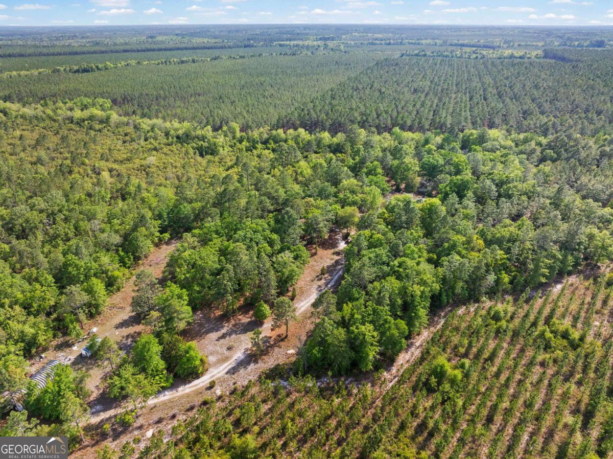 1234 Bennett Road Screven, GA 31560 - Photo 11 of 47