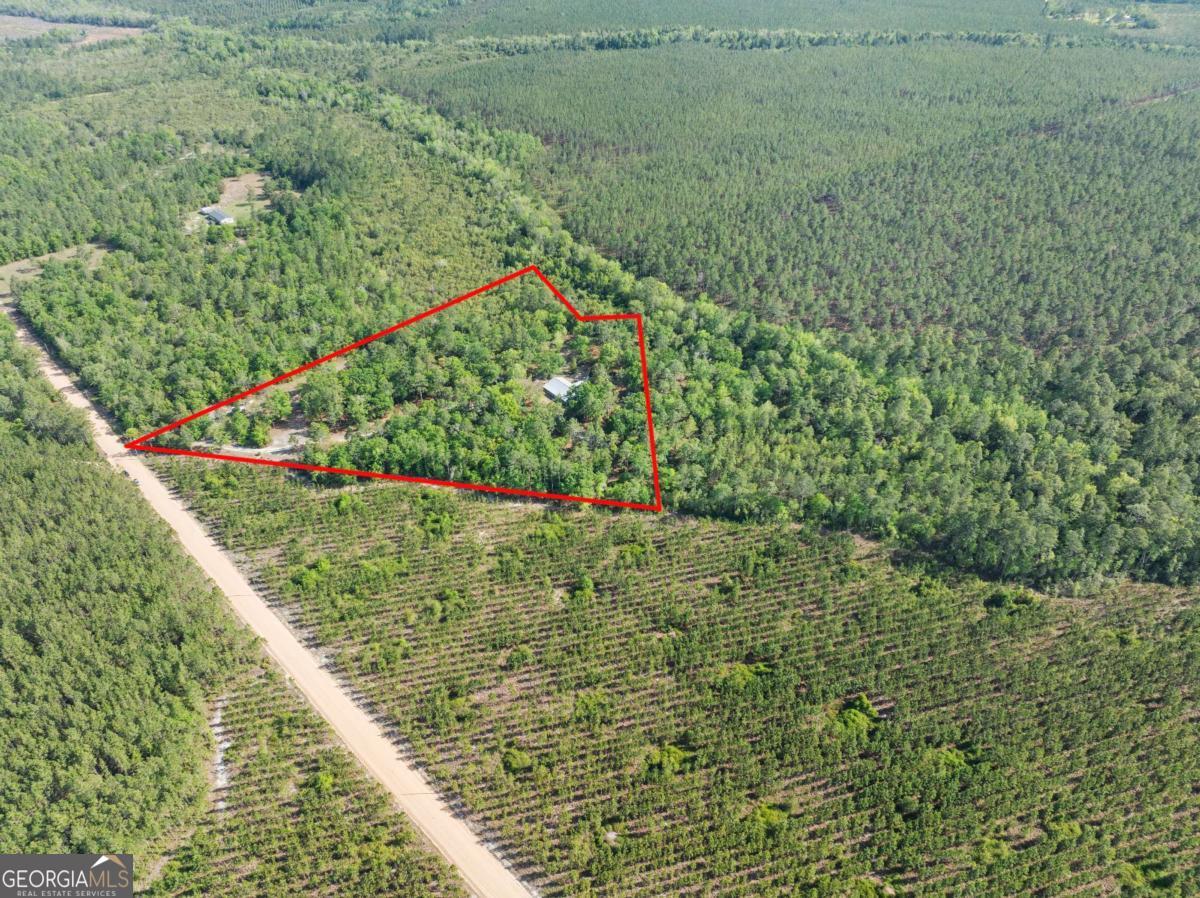 1234 Bennett Road Screven, GA 31560 - Photo 5 of 47